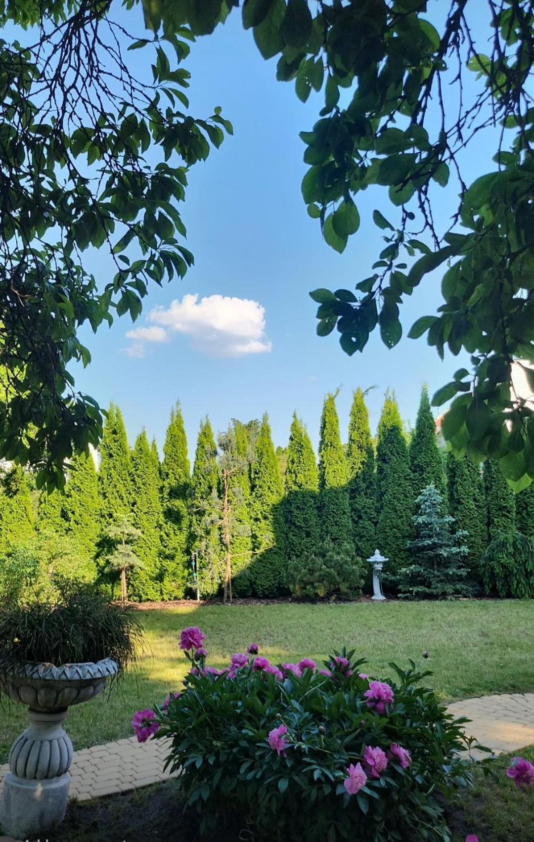 Princess Palace Вілла *